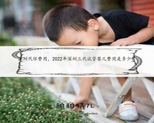 深圳代怀费用，2022年深圳三代试管婴儿费用是多少？