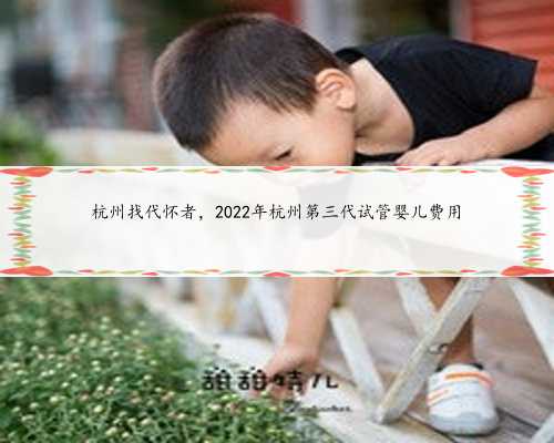 杭州找代怀者，2022年杭州第三代试管婴儿费用