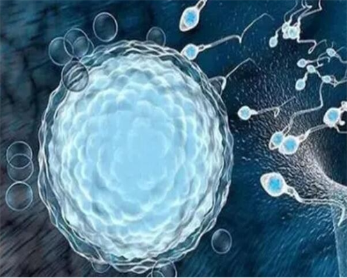 代生妈妈费用-三胎可以做,剖腹产吗？三胎剖腹产什么时候生好