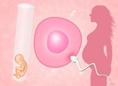 正规医院做代孕,泰安有哪些能做试管婴儿的医院！泰安哪个医院看不孕不育好