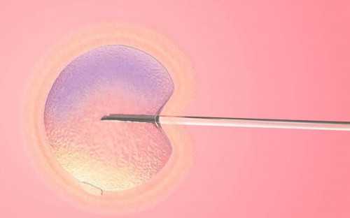 备孕不能吃什么鱼（二胎高龄妈妈如何备孕）