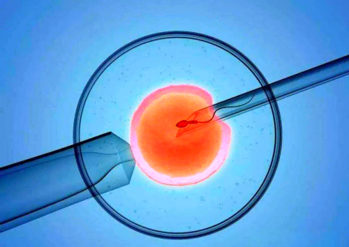 东莞做试管有名的医院排名（东莞做试管有名的医院排名第一）？东莞做试管有