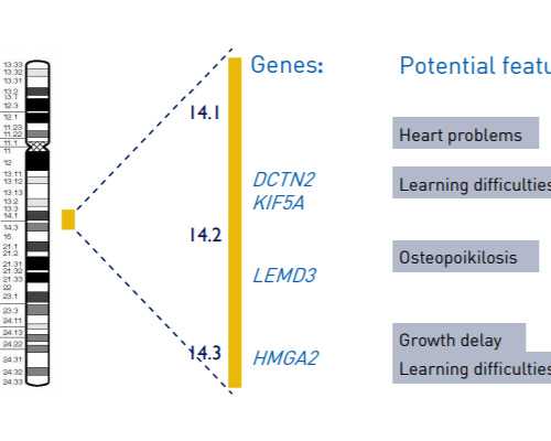 去哪可以找供卵_有好的代孕公司吗,做二代试管促排卵取卵费用