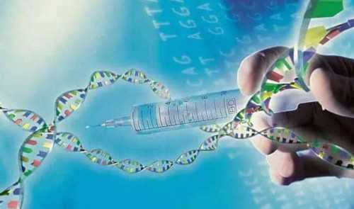 代妈机构补偿-深圳哪家试管婴儿医院成功率高