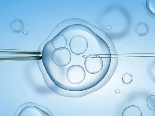 深圳供精交流的群,深圳代怀服务咨询,
              深圳龙岗区中医院做试管婴儿