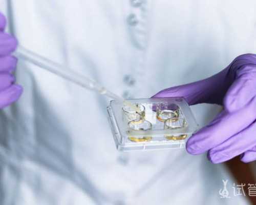 供卵代生价格-孕初期低雌二醇的症状、饮食调理、药物干预及对胎儿发育的影