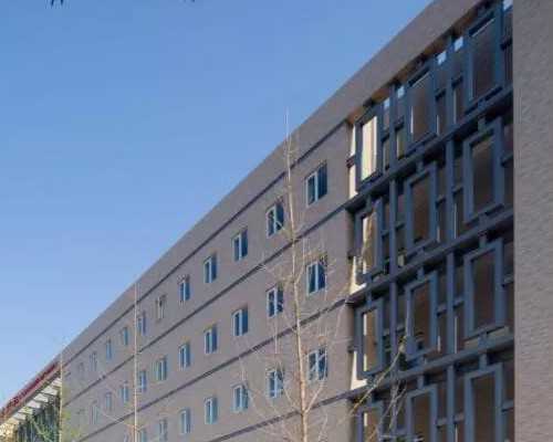 代孕网官网_试管代孕官方网,孕妇可以吃空心菜吗?看完本文你就知道了