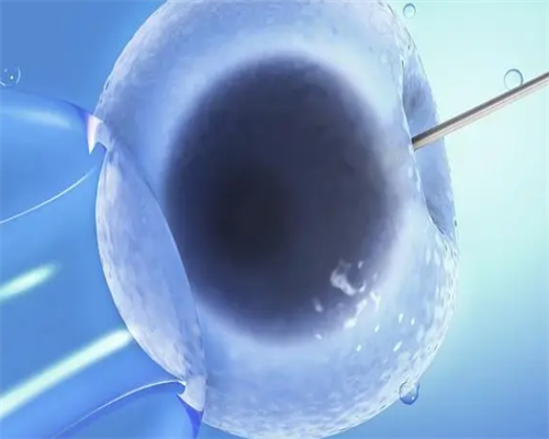 供卵代孕试管婴儿_代孕机构地址,人工移植周期子宫内膜era着床窗口期有什么办