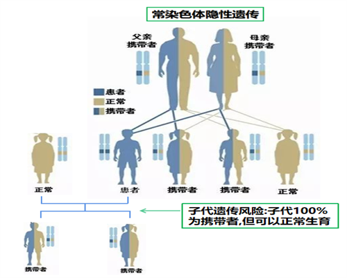 深圳卵巢早衰借供卵试管成功率高吗？以及移植后要注意什么？