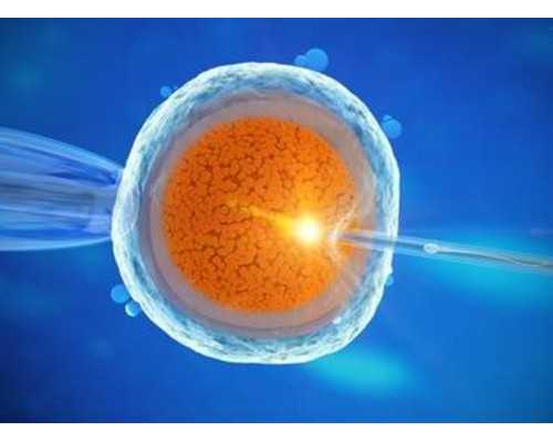 代妈待遇哪里高_哪里有正规代孕公司,胚胎外观能否决定试管婴儿妊娠？新解读