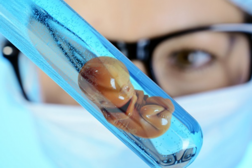 <b>东莞市生殖医院试管成功率？东莞生殖科正规三甲？</b>