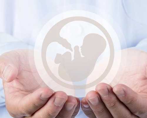 甘肃试管供卵包男孩,东莞比较出名的不孕不育医院靠谱么