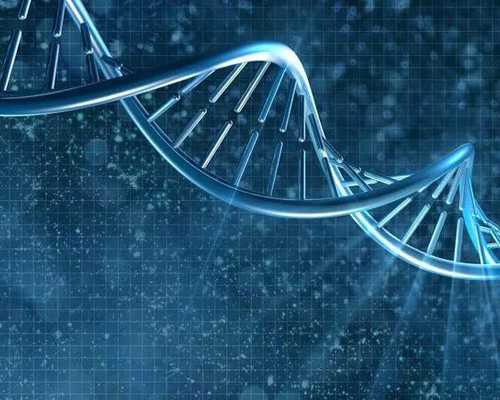 做试管移植说子宫严重变形