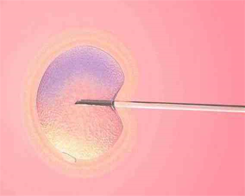 代生妈妈费用-哺乳期怀孕试纸能测出来吗（哺乳期避孕）