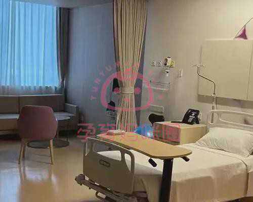 包男孩代生网_代怀包男孩包成功,amh0.31怎么怀孕生子
						