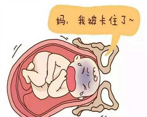 了解受过胎教的孩子有哪些特点_天津 人工助孕