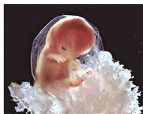 代代孕期准妈咪补钙给代孕宝宝10惠方法代孕机构