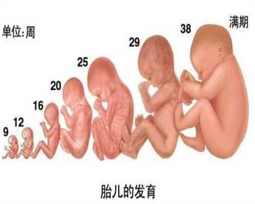 做泰国试管婴儿取多少卵子能怀上孩子