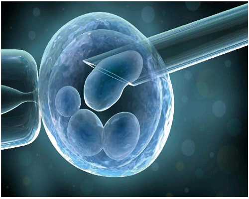 无锡找代孕有哪些后遗症·供卵试管·女性出现胎