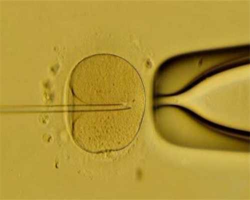 网上代孕可靠吗_借卵生子孩子的血型_代孕后哪种
