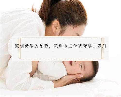 深圳助孕的花费，深圳市三代试管婴儿费用