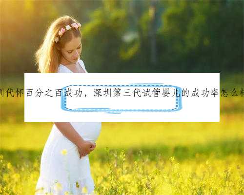 深圳代怀百分之百成功，深圳第三代试管婴儿的成功率怎么样？
