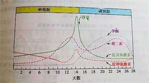 广州代生孩子机构，广州供卵试管代生医院排名